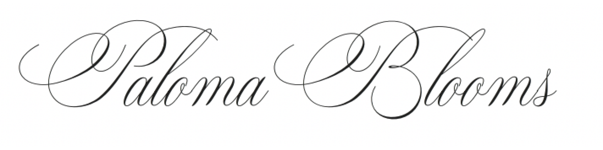 Paloma Blooms